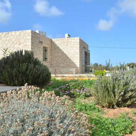 Kalypso Apartments Kastri  Bagian luar foto